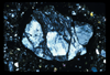 ap1703_02_14