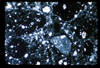 ap1703_02_17