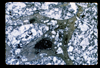 ap1703_03_05
