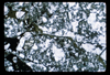 ap1703_03_07
