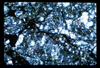 ap1703_03_08