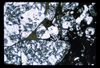 ap1703_03_09