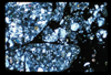 ap1703_03_10
