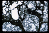 ap1703_03_11