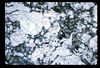 ap1703_03_17