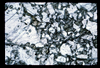 ap1703_03_19