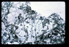 ap1703_04_03