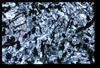 ap1703_04_05
