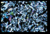 ap1703_04_06
