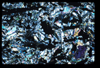 ap1703_04_08