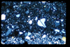 ap1703_04_10
