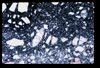 ap1703_04_13