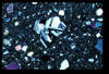 ap1703_05_04