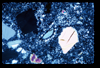 ap1703_05_06