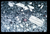 ap1703_05_11