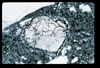 ap1703_05_13