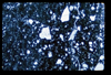 ap1703_05_19