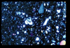 ap1703_05_20