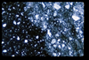 ap1703_06_03