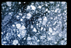 ap1703_06_11