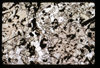 ap1703_07_03