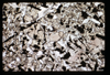 ap1703_07_05
