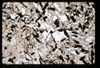 ap1703_07_07