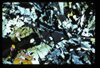 ap1703_07_08