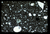 ap1703_07_09