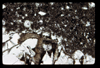ap1703_07_11