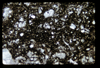 ap1703_07_17