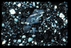 ap1703_08_13