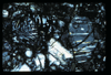 ap1703_08_15