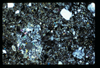 ap1703_09_08