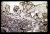 ap1703_09_11