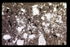 ap1703_09_15