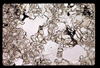 ap1703_09_17