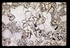 ap1703_09_19