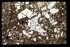 ap1703_10_01