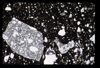 ap1703_10_11