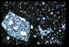 ap1703_10_12