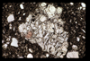 ap1703_10_13
