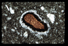 ap1703_10_15