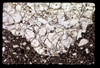 ap1703_10_17