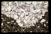 ap1703_11_01