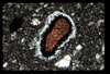 ap1703_11_03