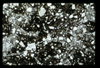 ap1703_11_04