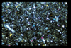 ap1703_11_09