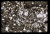 ap1703_11_12