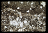 ap1703_11_14